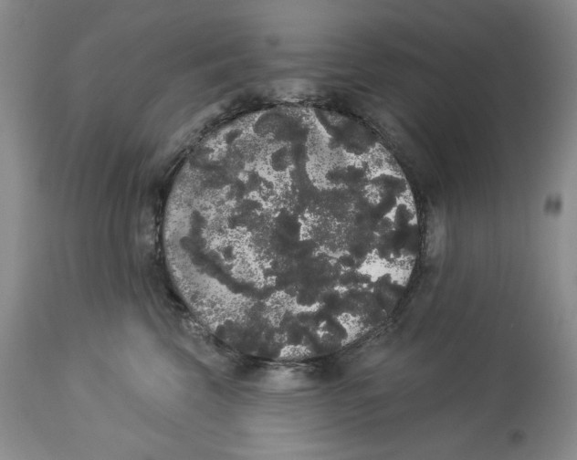 X0000113980569200910231711