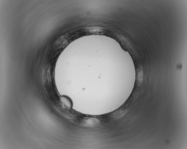 X0000113980572200910231711