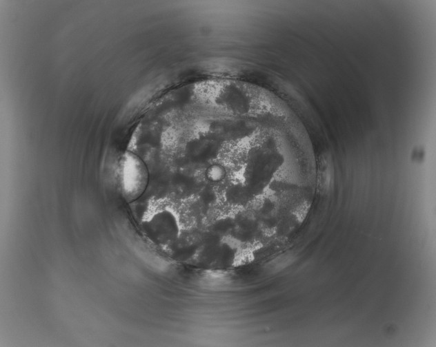 X0000113980573200910231711