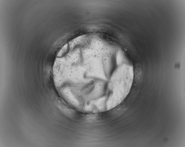 X0000113980574200910231711