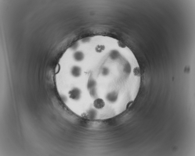 X0000113980575200910231711