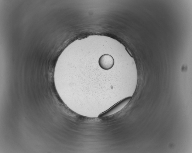 X0000113980576200910231711