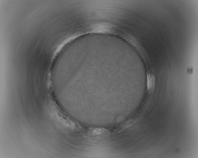 X0000113980579200910231710