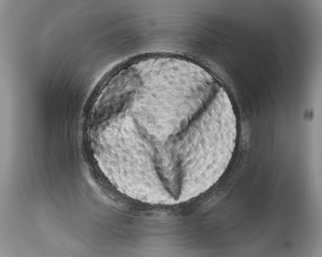 X0000113980580200910231710