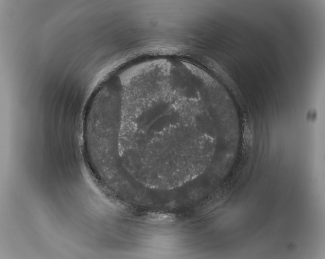 X0000113980582200910231710