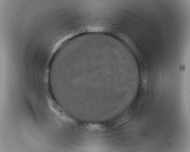 X0000113980583200910231710