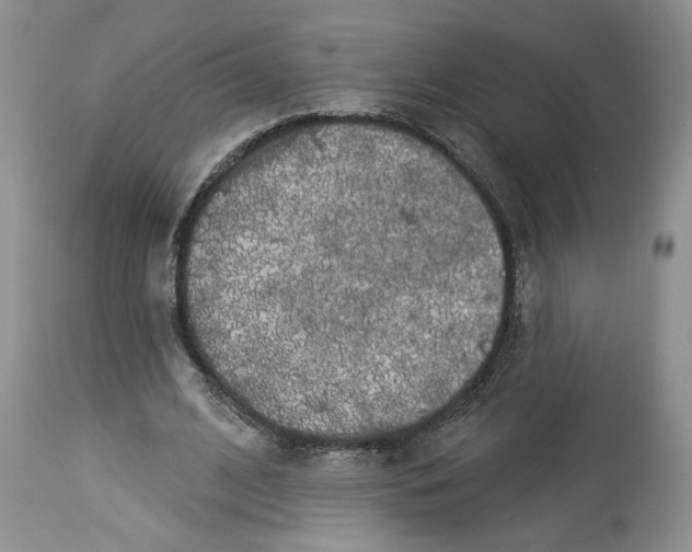 X0000113980584200910231710