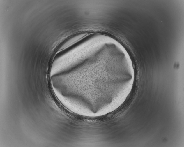 X0000113980585200910231710