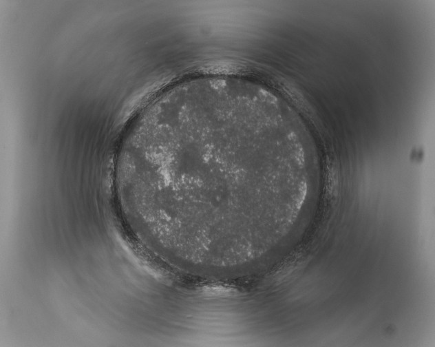 X0000113980586200910231710