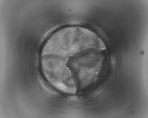 X0000113980588200910231710