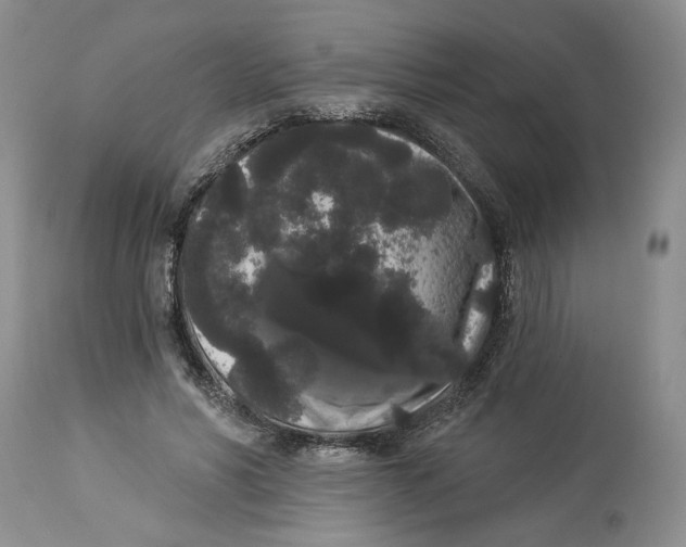 X0000113980590200910231710