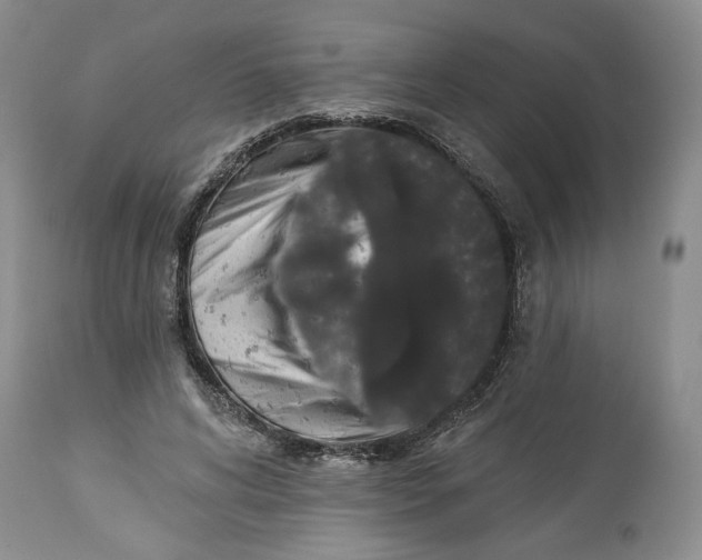 X0000113980592200910231710