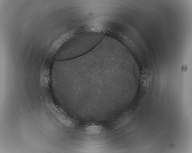 X0000113980593200910231710