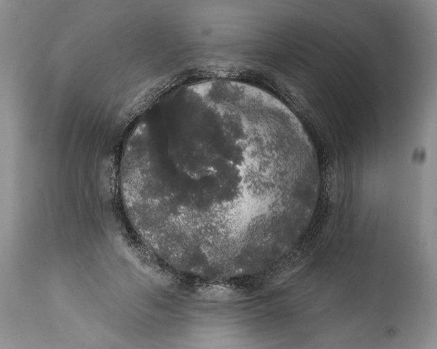 X0000113980594200910231710