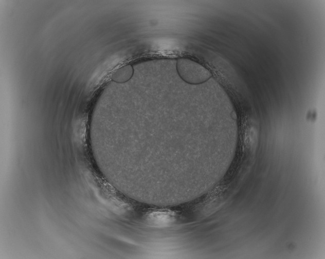 X0000113980595200910231710