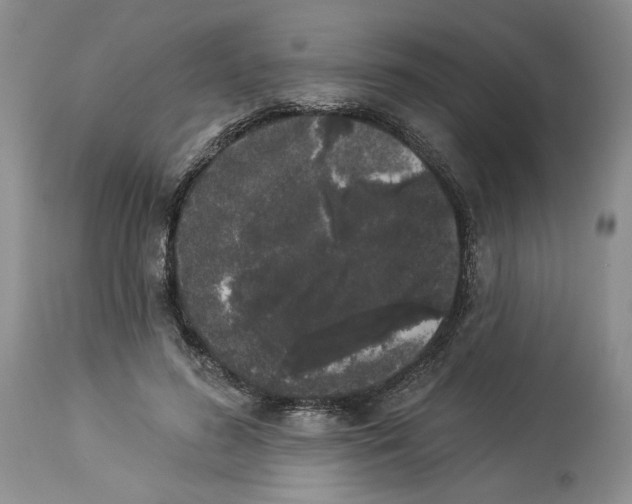 X0000113980596200910231710