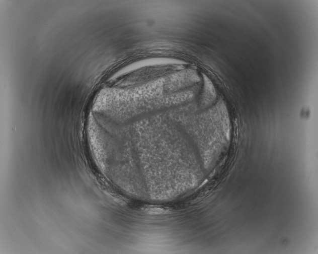 X0000113980597200910231710