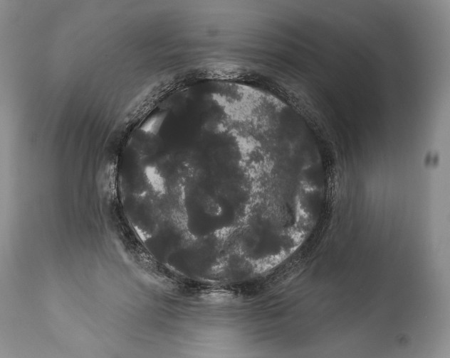 X0000113980598200910231710