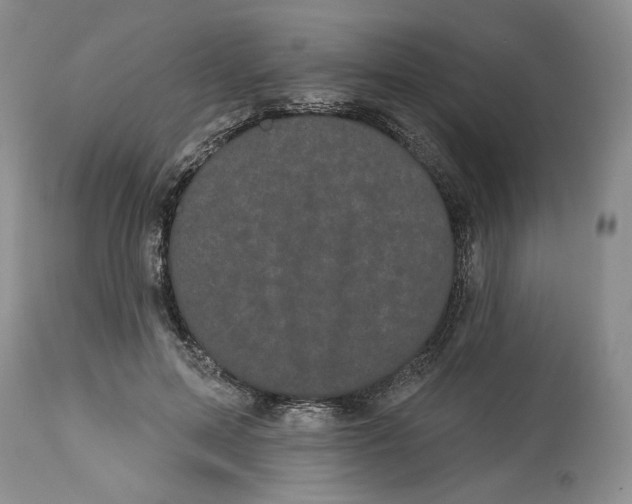 X0000113980599200910231710