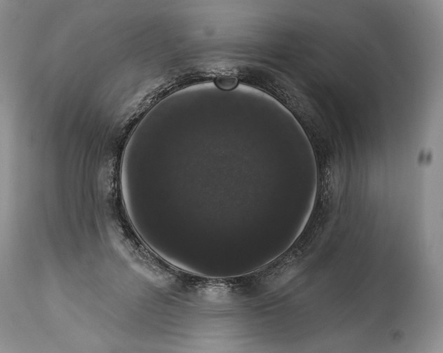 X0000113980600200910231710