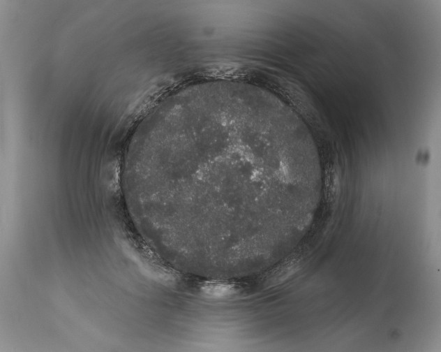 X0000113980602200910231710