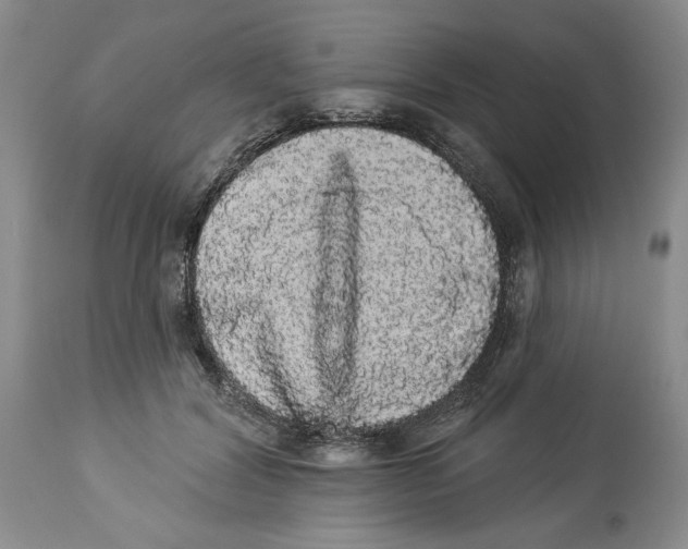 X0000113980604200910231710