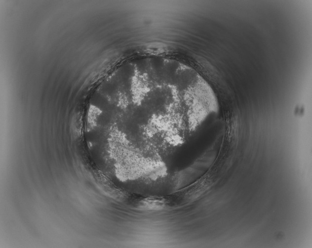 X0000113980606200910231710