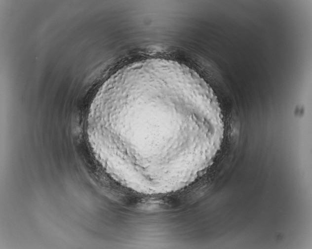 X0000113980607200910231710