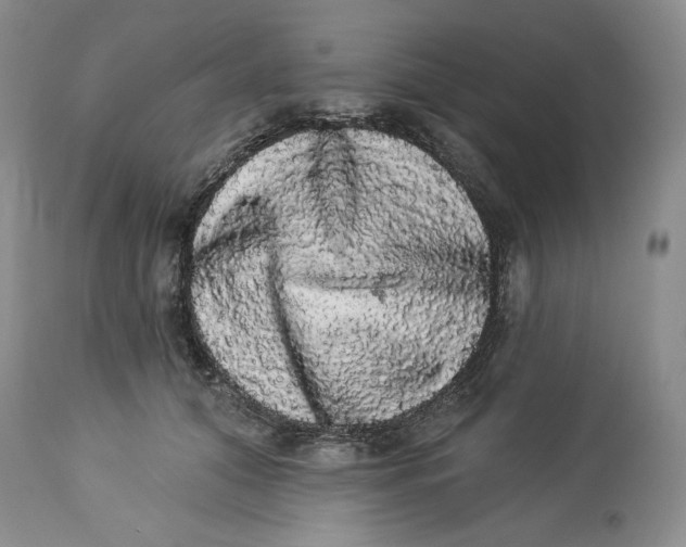 X0000113980608200910231710