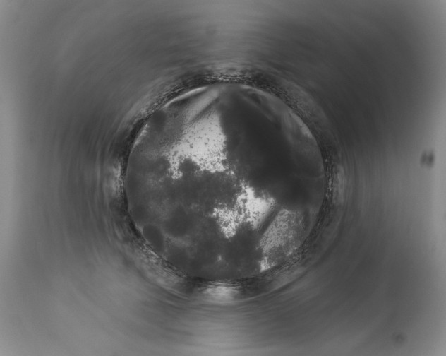 X0000113980610200910231710