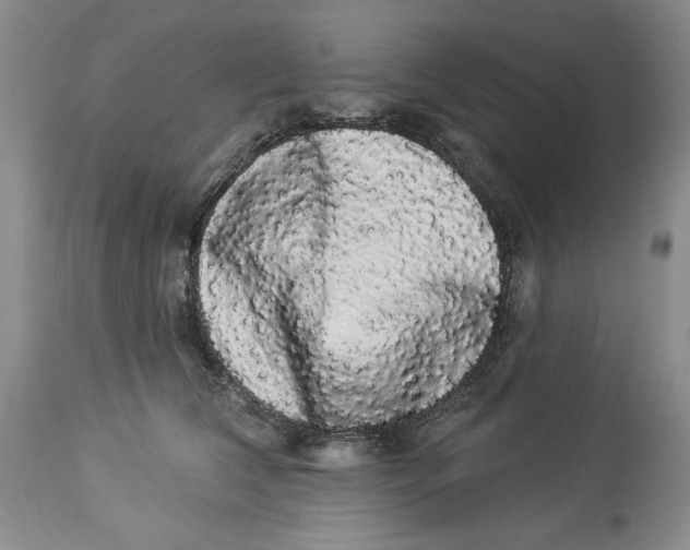 X0000113980612200910231710