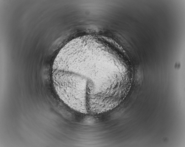 X0000113980616200910231709