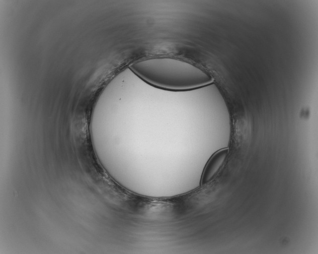 X0000113980617200910231709