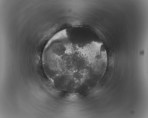 X0000113980618200910231709