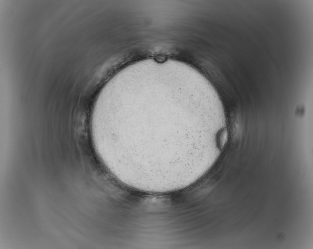 X0000113980619200910231709