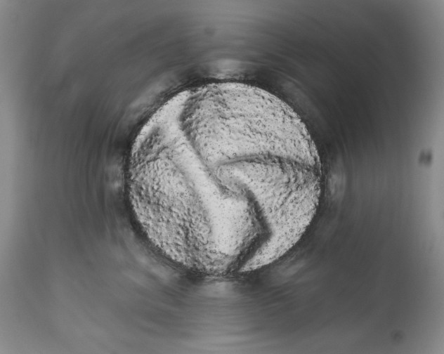 X0000113980620200910231709