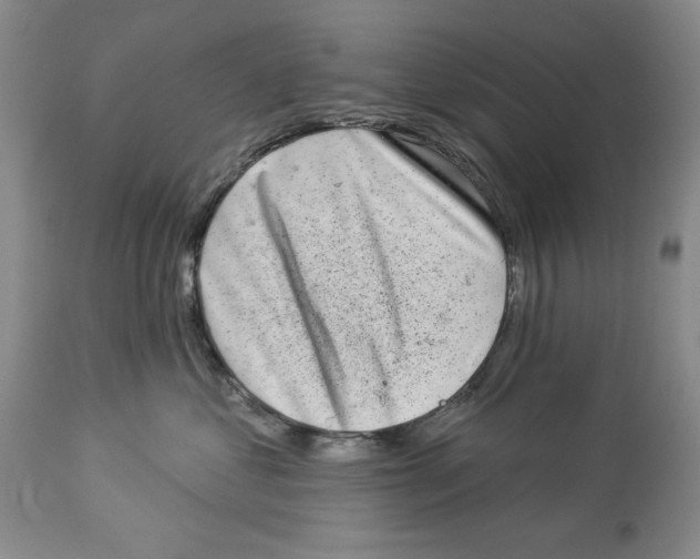 X0000113980621200910231709