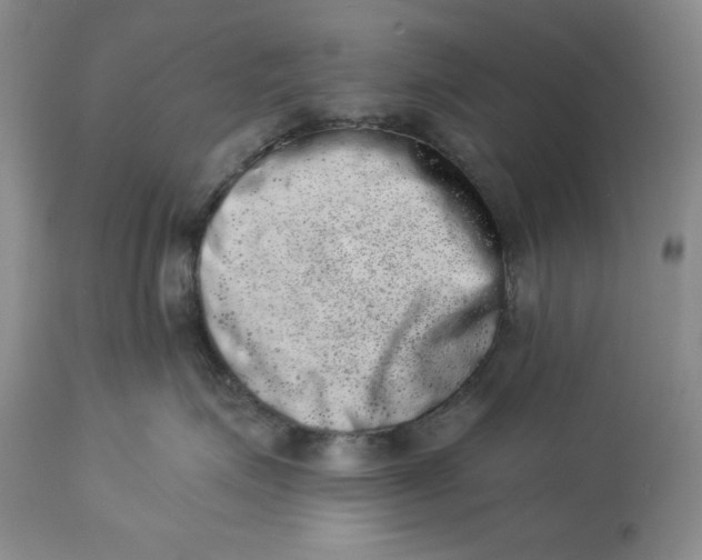 X0000113980623200910231709