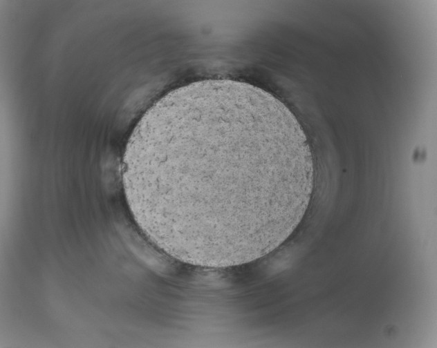 X0000113980624200910231709