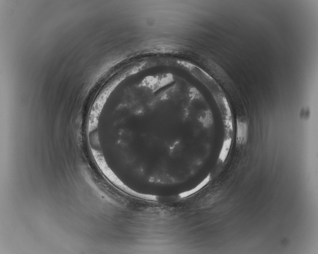 X0000113980627200910231709