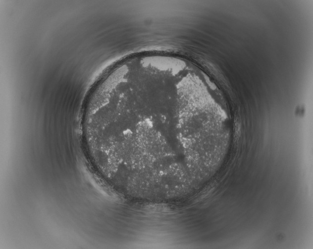 X0000113980628200910231709