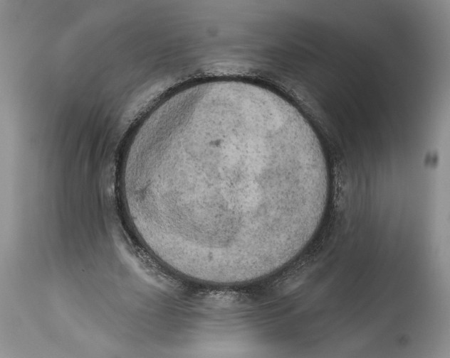 X0000113980631200910231709