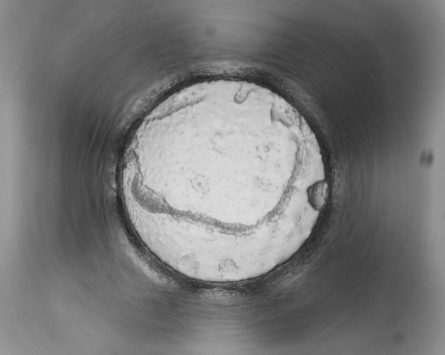 X0000113980633200910231709