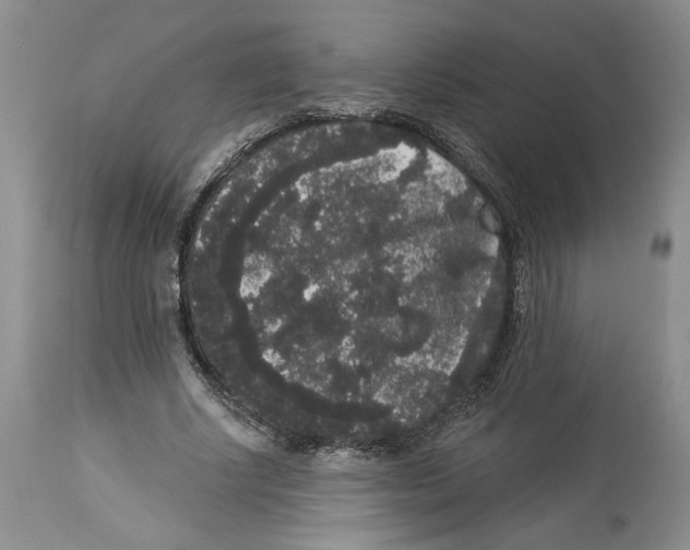 X0000113980634200910231709