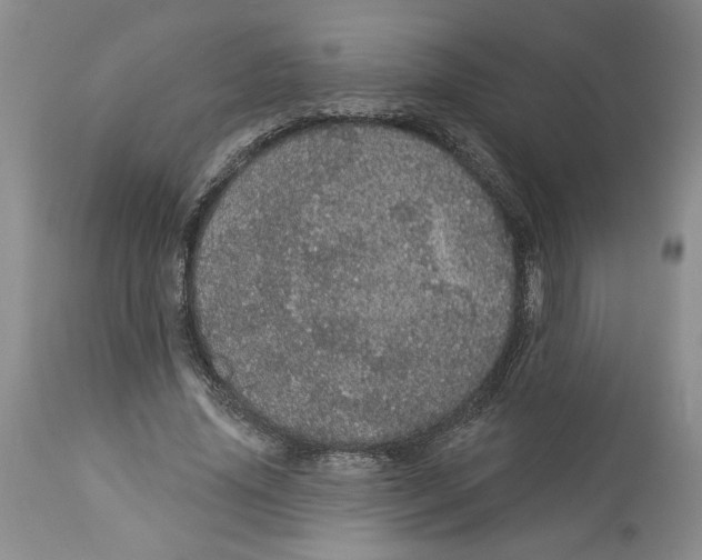 X0000113980636200910231709