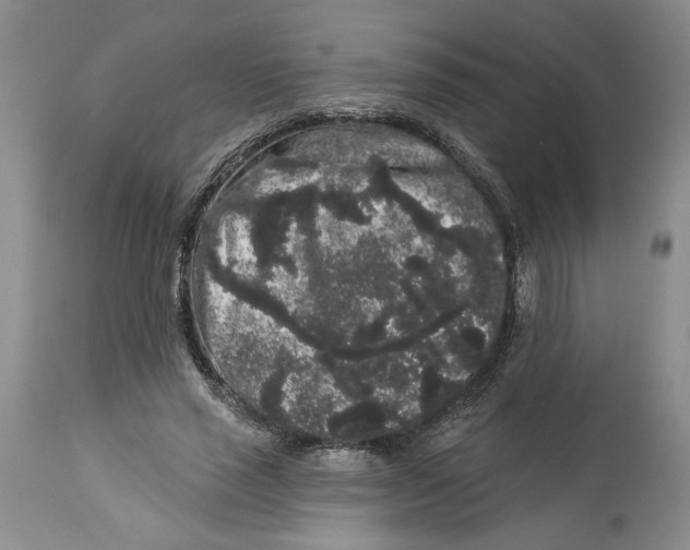 X0000113980637200910231709