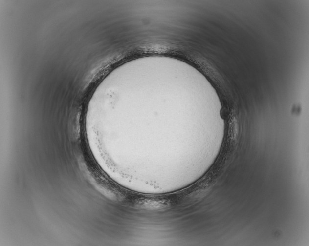 X0000113980638200910231709