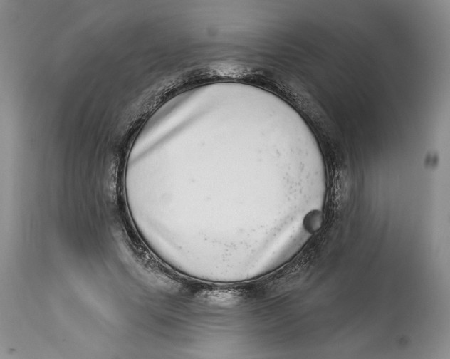 X0000113980639200910231709