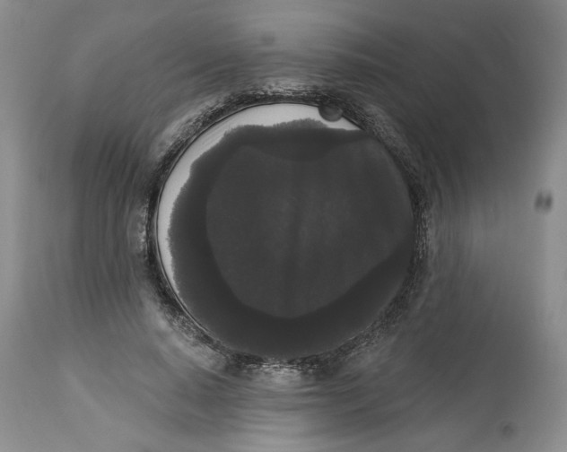 X0000113980640200910231709