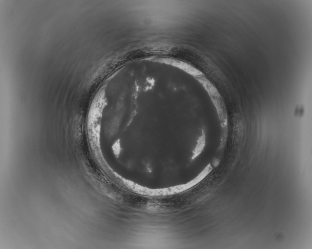 X0000113980641200910231709